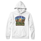Joshua Tree National Park Badge Hoodie-Allegiant Goods Co. Vintage Sports Apparel