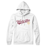 Washington Dc Vintage Script Hoodie-Allegiant Goods Co. Vintage Sports Apparel