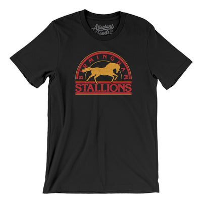 Birmingham Stallions Football Men/Unisex T-Shirt-Black-Allegiant Goods Co. Vintage Sports Apparel