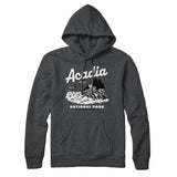 Acadia National Park Hoodie-Allegiant Goods Co. Vintage Sports Apparel