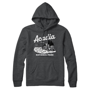 Acadia National Park Hoodie-Allegiant Goods Co. Vintage Sports Apparel