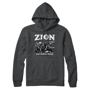 Zion National Park Hoodie-Allegiant Goods Co. Vintage Sports Apparel