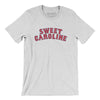 Boston Sweet Caroline Men/Unisex T-Shirt-Ash-Allegiant Goods Co. Vintage Sports Apparel