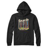 Sequoia National Park Hoodie-Allegiant Goods Co. Vintage Sports Apparel