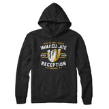 Immaculate Reception Hoodie-Allegiant Goods Co. Vintage Sports Apparel