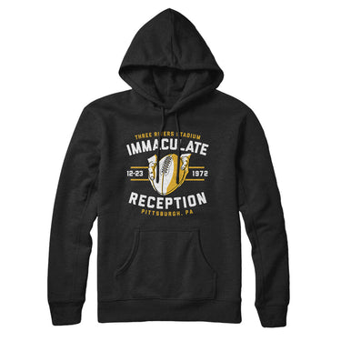 Immaculate Reception Hoodie-Allegiant Goods Co. Vintage Sports Apparel