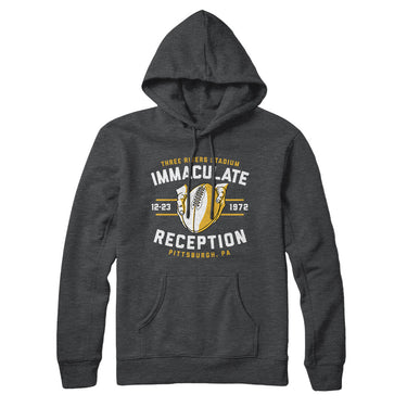 Immaculate Reception Hoodie-Allegiant Goods Co. Vintage Sports Apparel