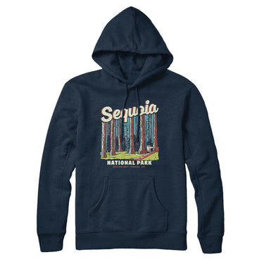 Sequoia National Park Hoodie-Allegiant Goods Co. Vintage Sports Apparel