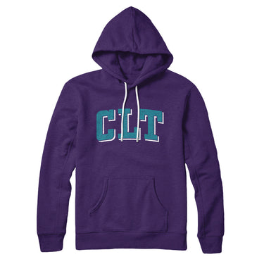 Clt Varsity Hoodie-Allegiant Goods Co. Vintage Sports Apparel