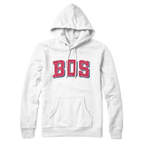 Bos Varsity Hoodie-Allegiant Goods Co. Vintage Sports Apparel